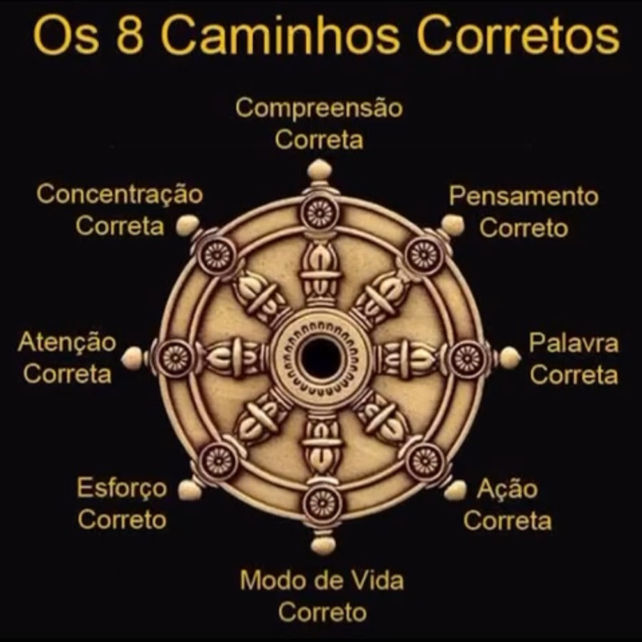 Estudos 📚🦅