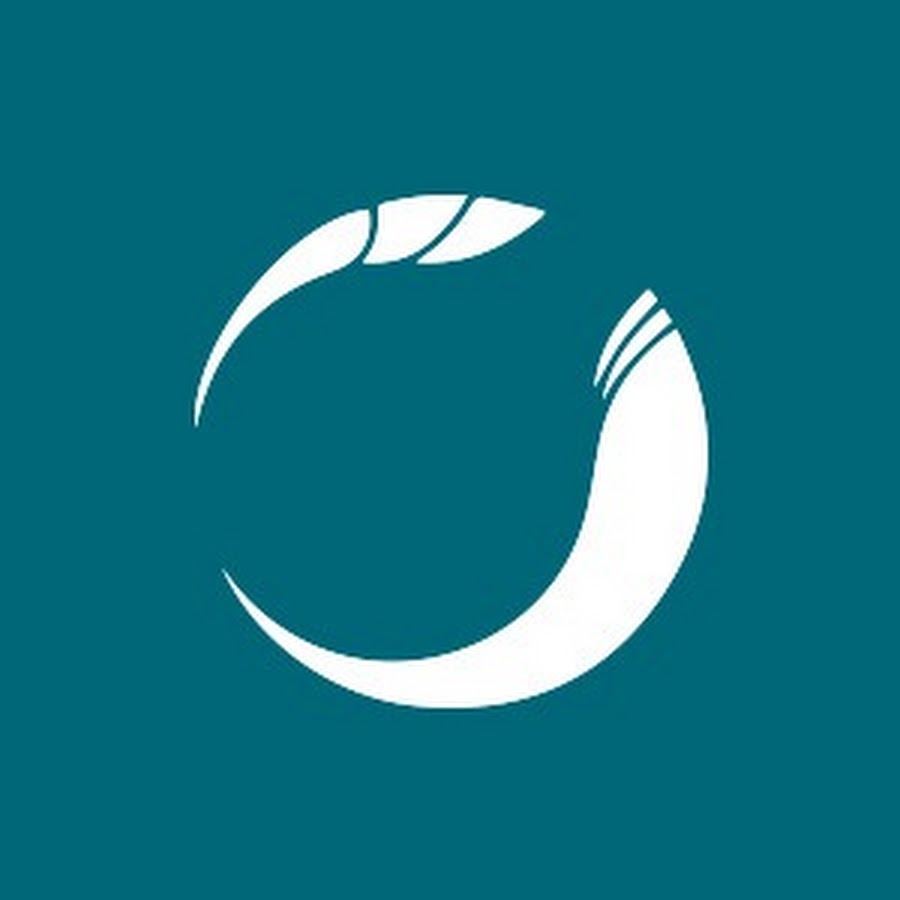 BMH Technology