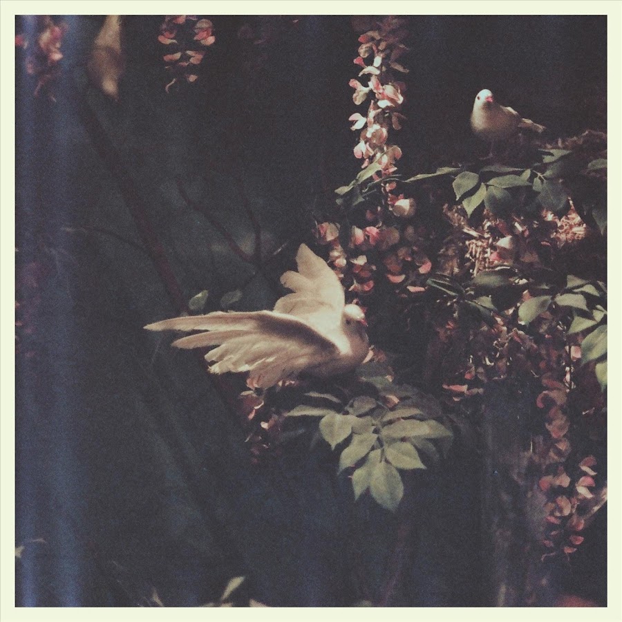 Memoryhouse - Topic
