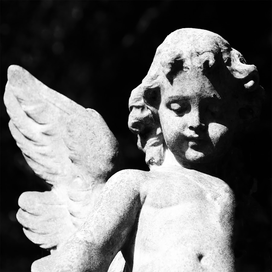Cold Cave - Topic