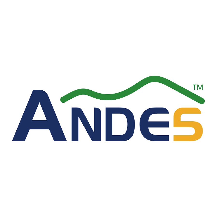 Andes Technology