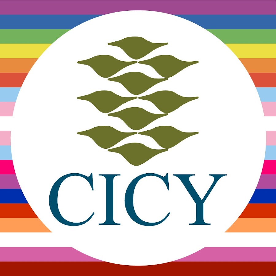 CICYoficial