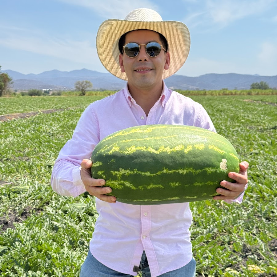 Sin Ruta Al Campo