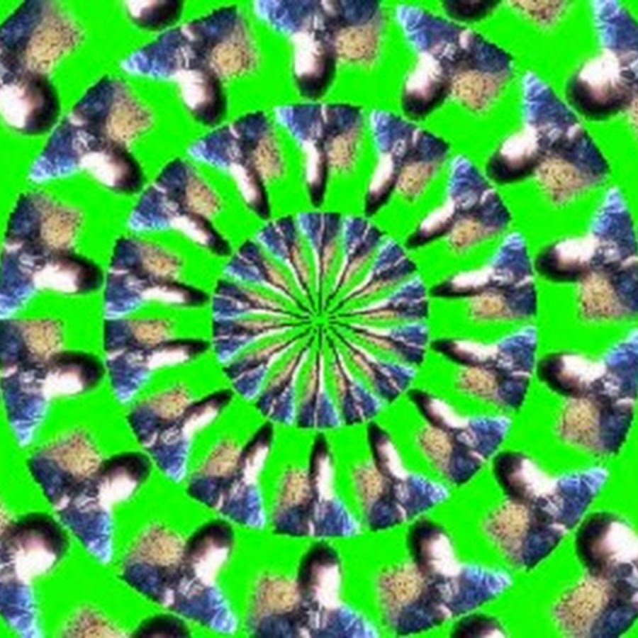 Merlinhedd