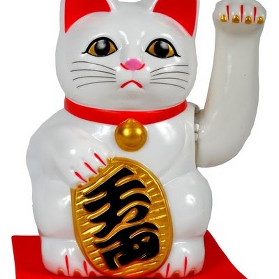 kittenfood777