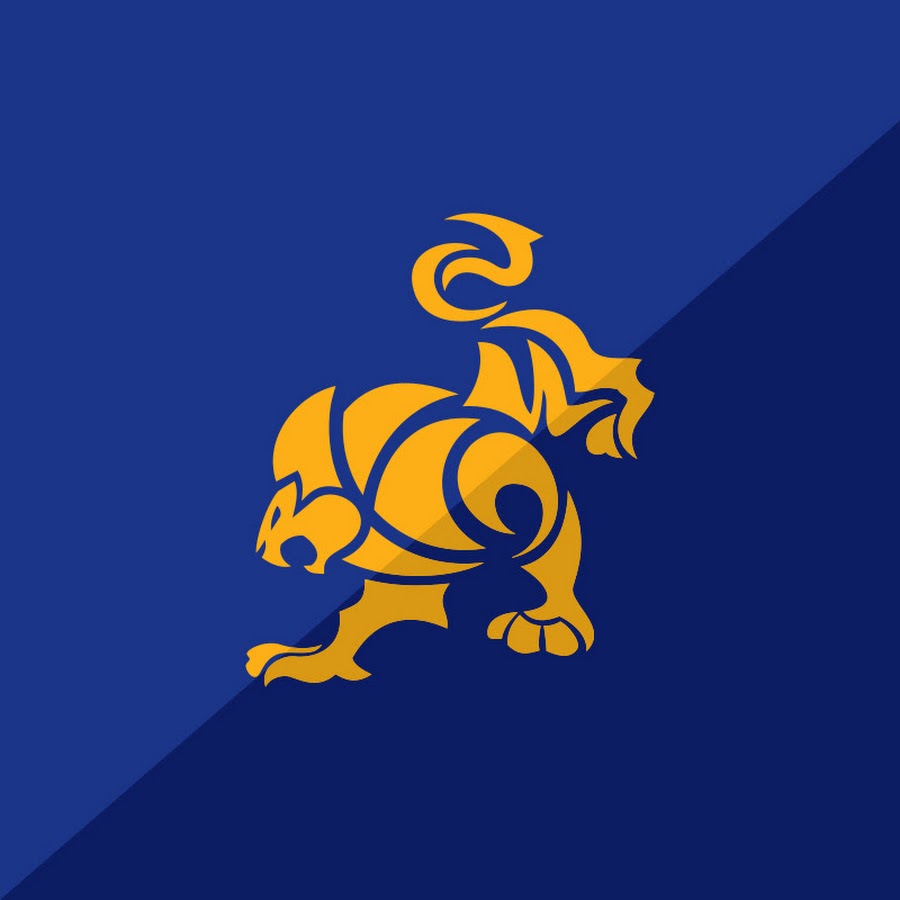 International Brazilian Jiu-Jitsu Federation