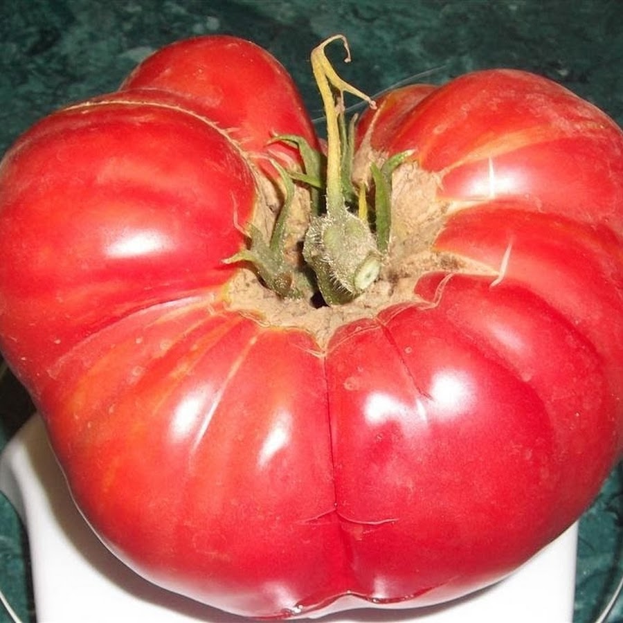 mhpgardener