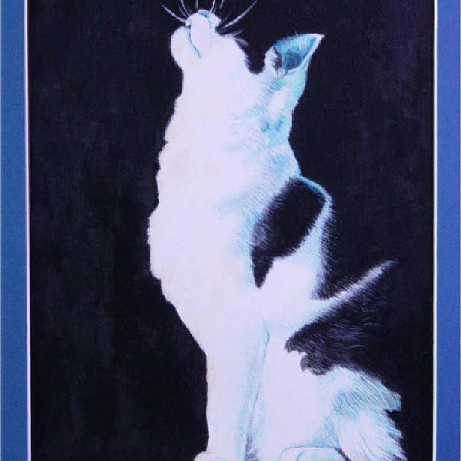 ScootTheCat