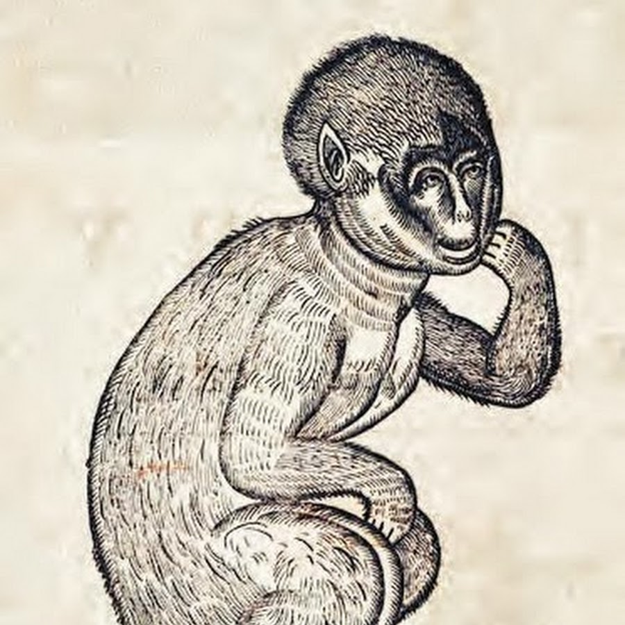 diapsalmato
