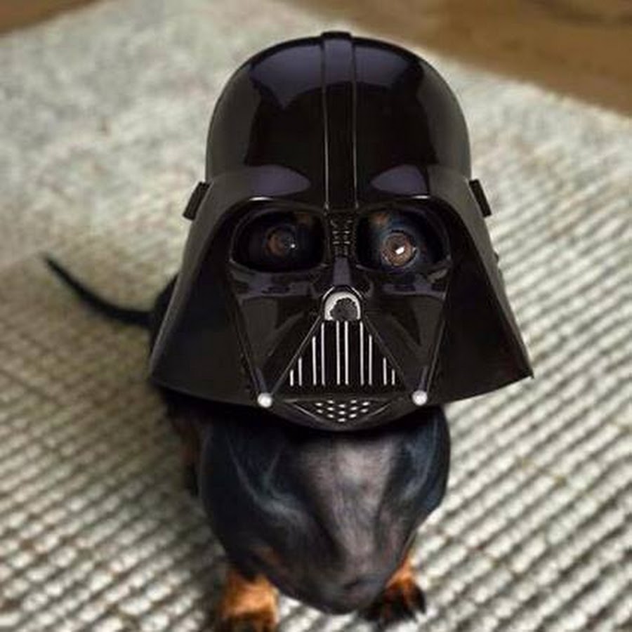 Darklord Dachshund