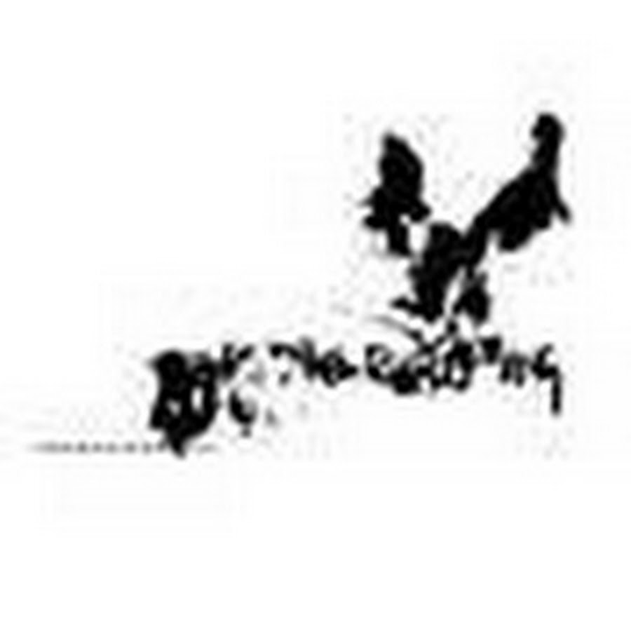 nobirdsing
