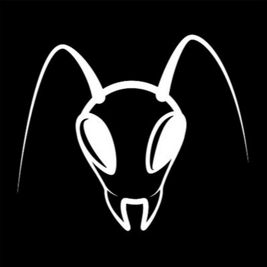 XXII LA FOURMILIÈRE 🐜🗻