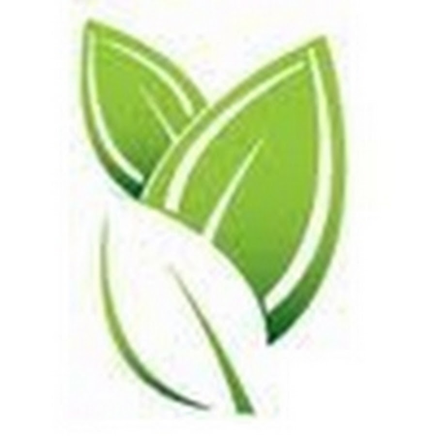 GenesisConsulting1