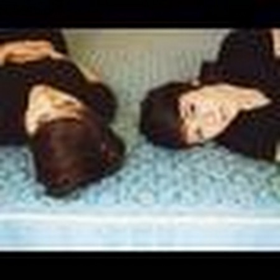 TeganAndSaraIsLove