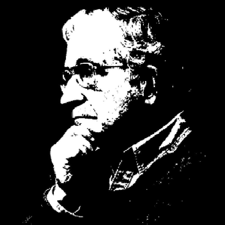 Chomsky's Philosophy