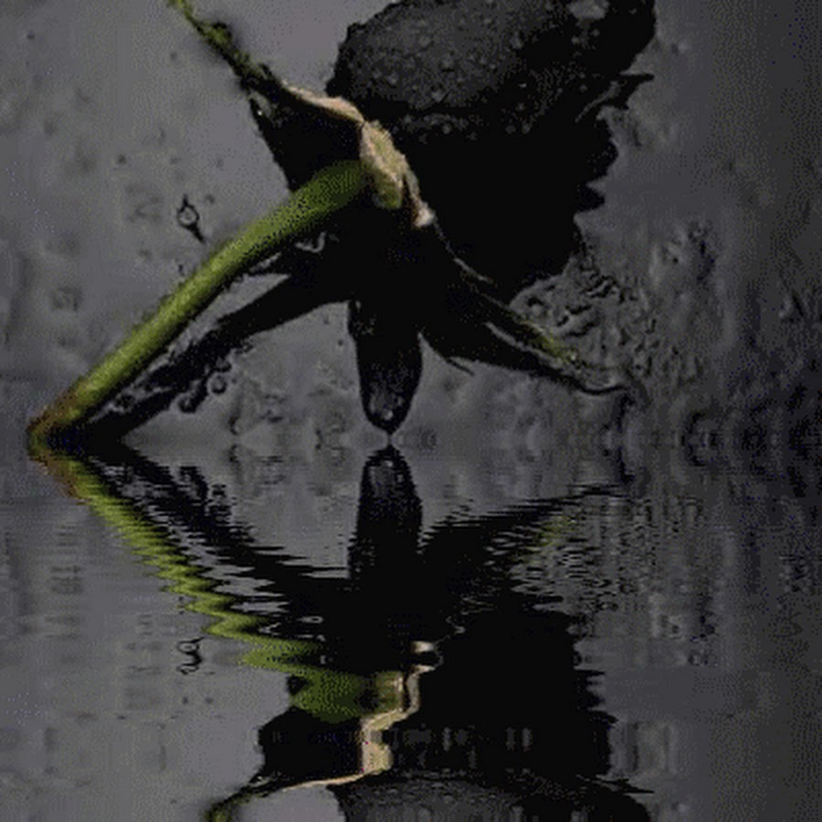 BlackkkSunrise