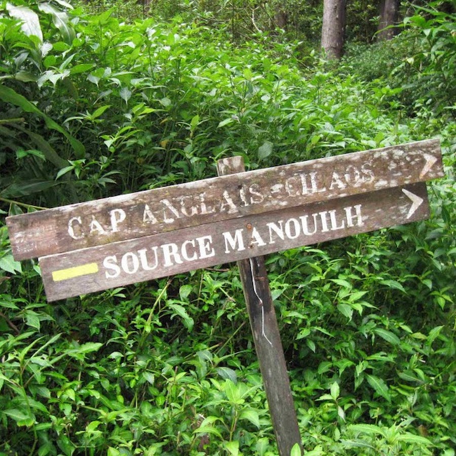 waiggle l'aigle