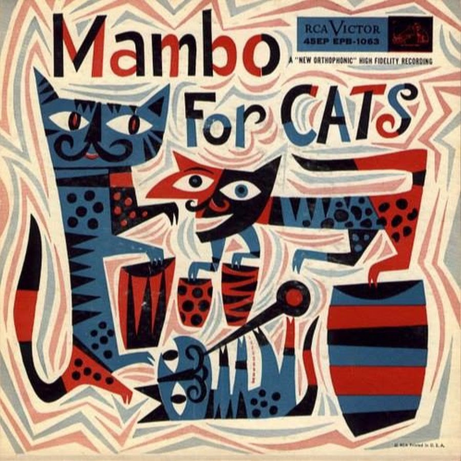 Miguel Moreno (Mambo For Cats)