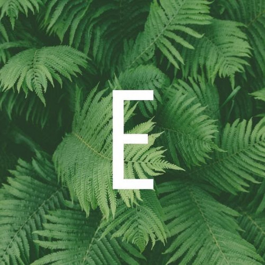 Econoscent