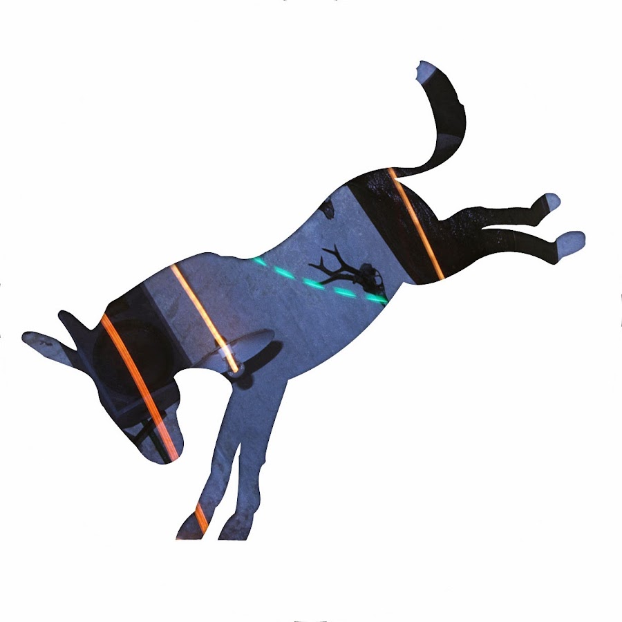 donkypitch