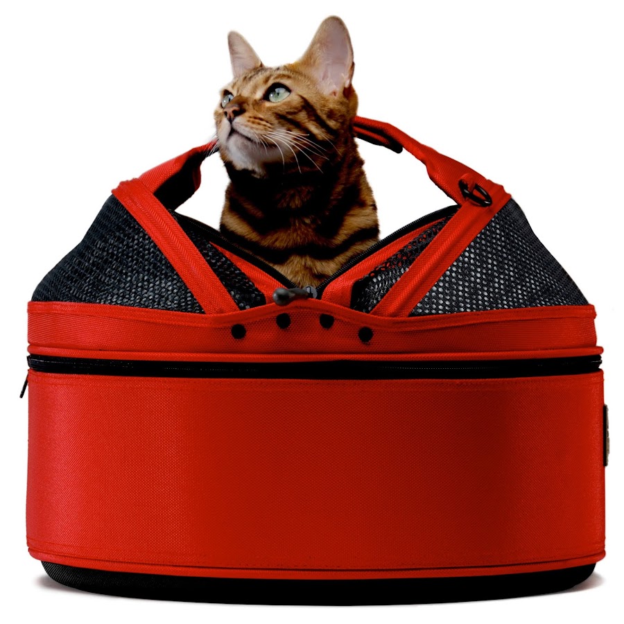 Sleepypod