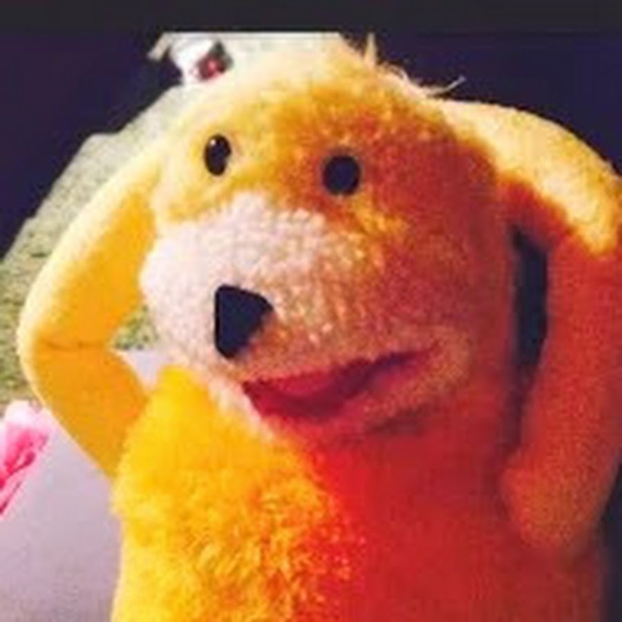 matt bronco