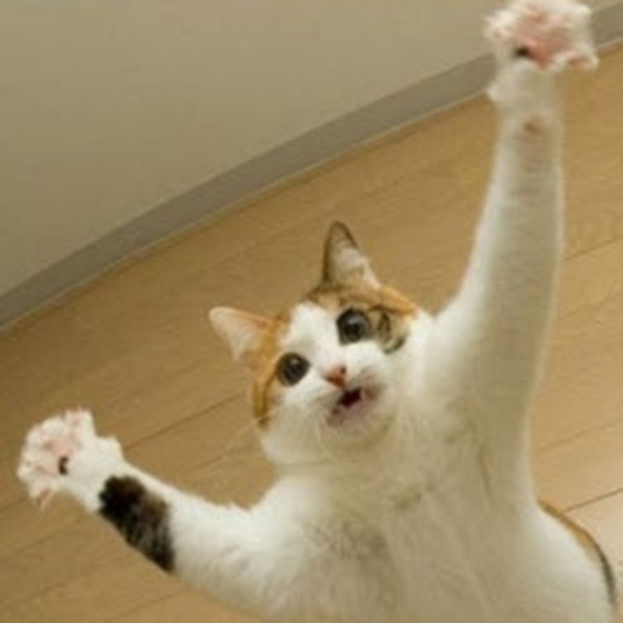 シ