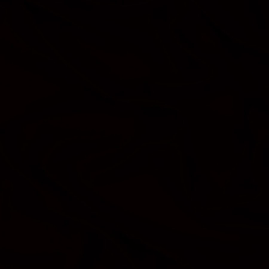 TAiYOUNEKO