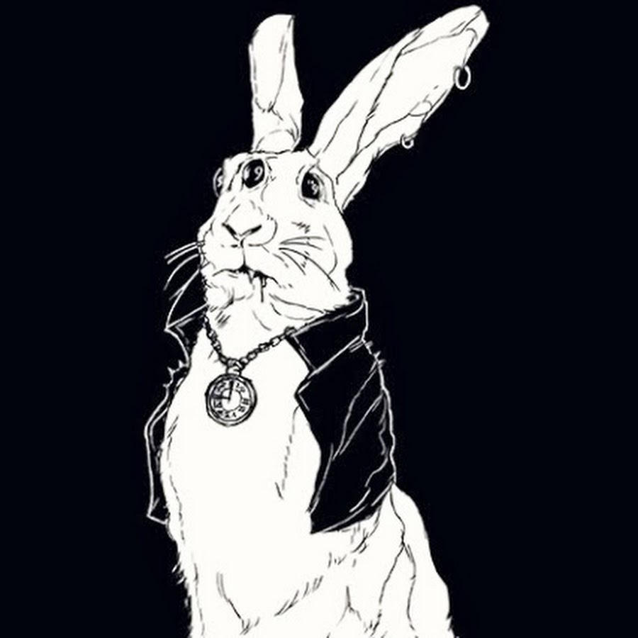 WhiteNoiseMusic