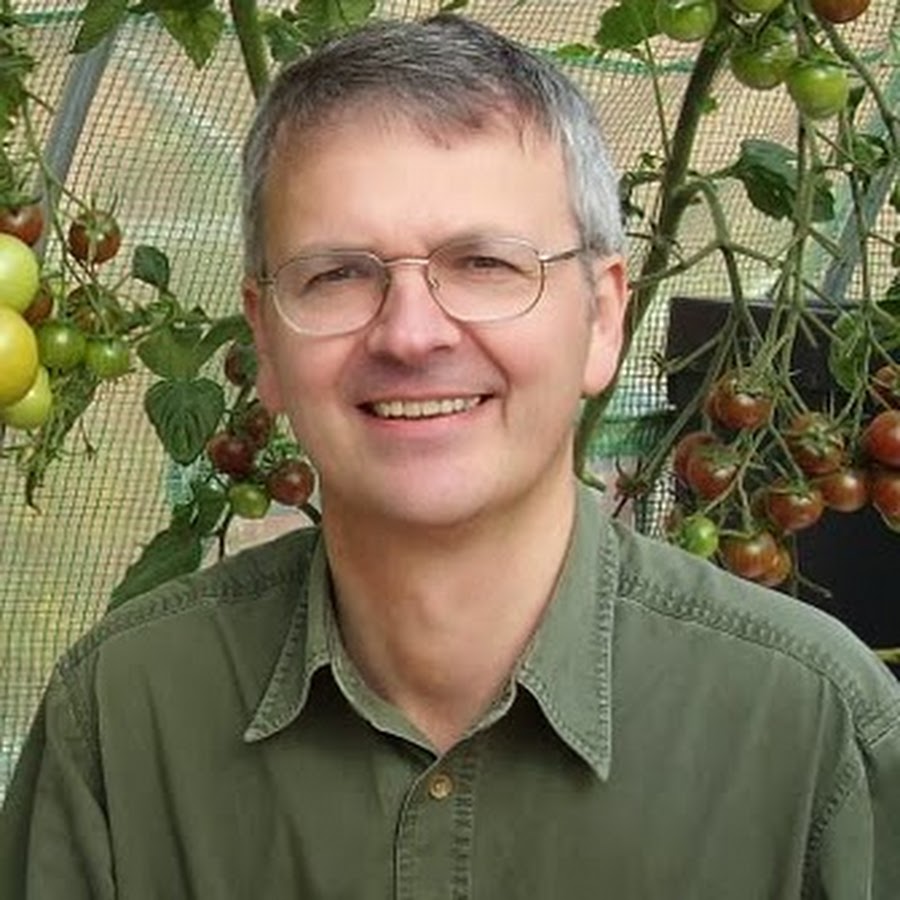 TomatoGrowing