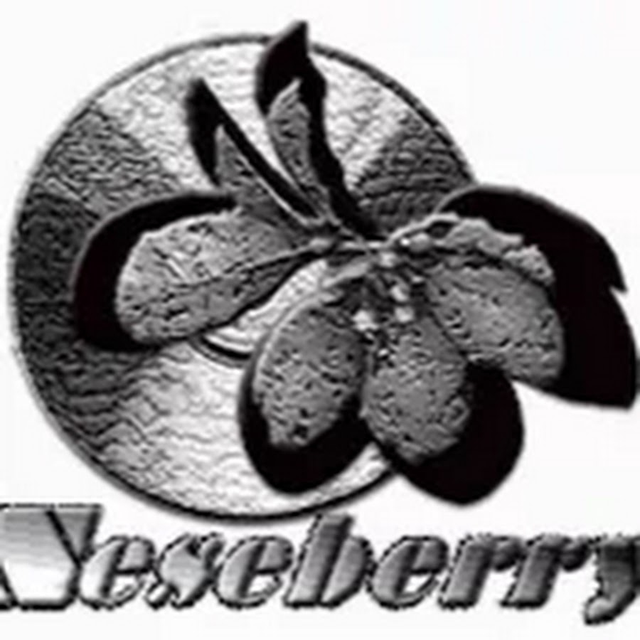 Neseberry Inc