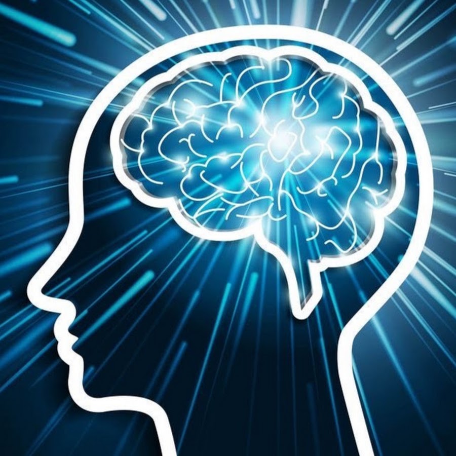 Rewired For Success