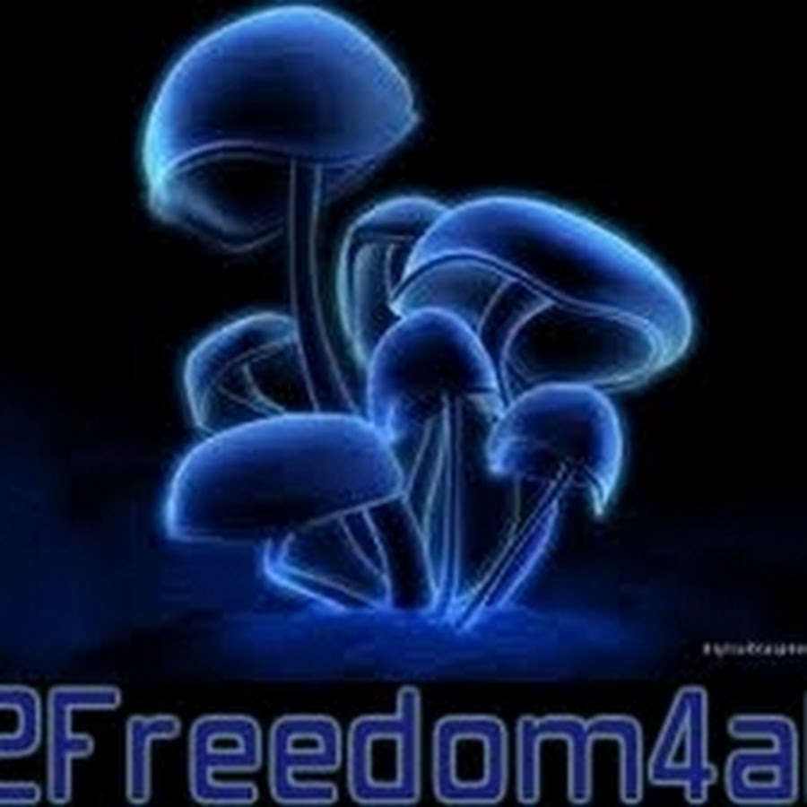 2Freedom4all