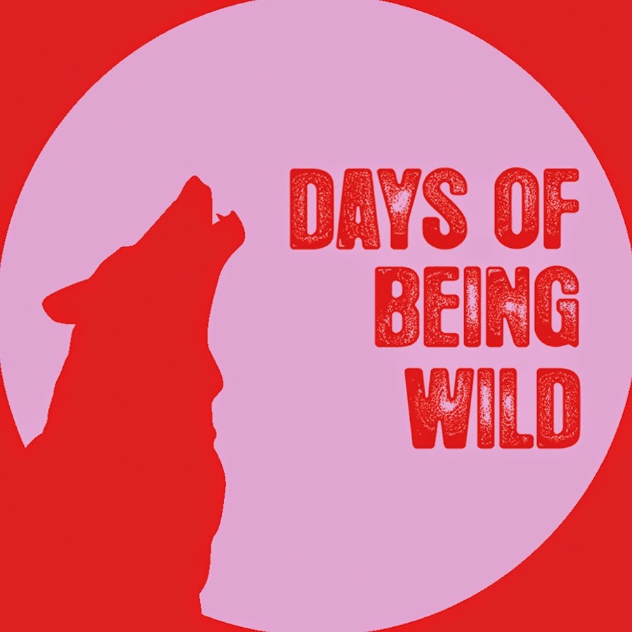 DaysOfBeingWildRcds
