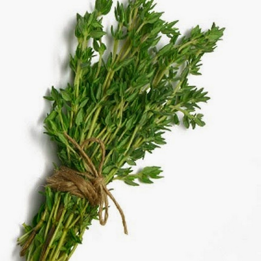 GeniusOfThyme