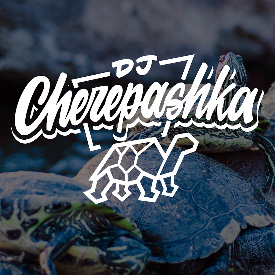 dj Cherepashka (dj Cherepashka)