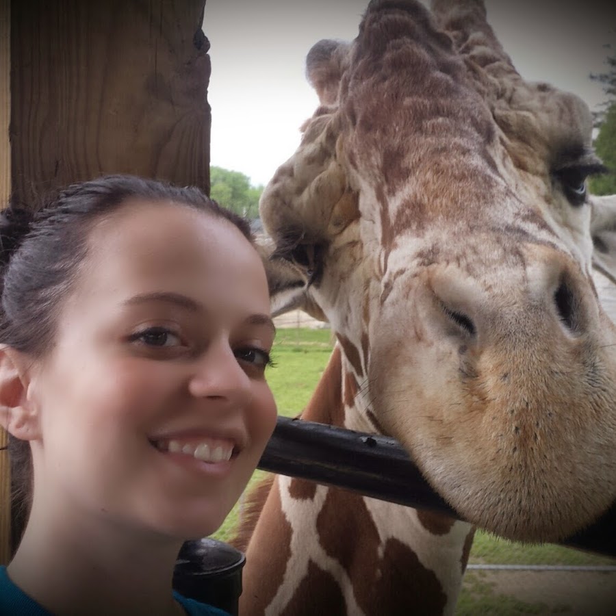 Animal Moments