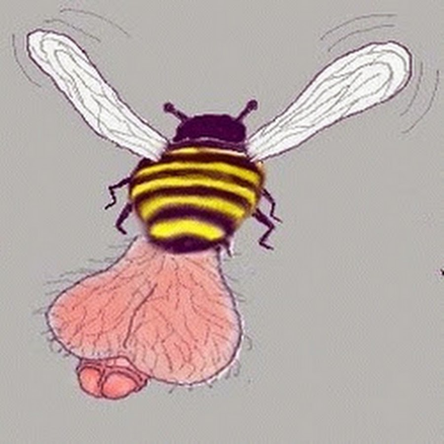 DeKlootHommel