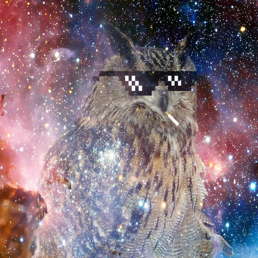 vodkaowl