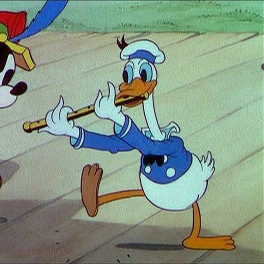 Duelingbanjos123