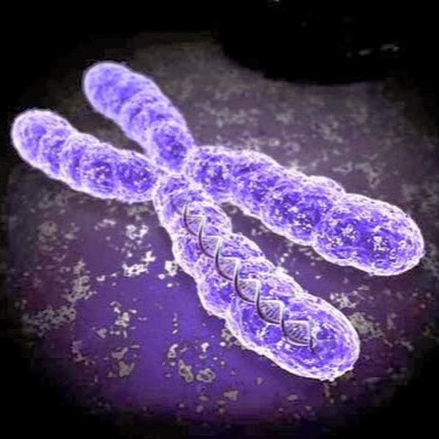 VideosMolecular