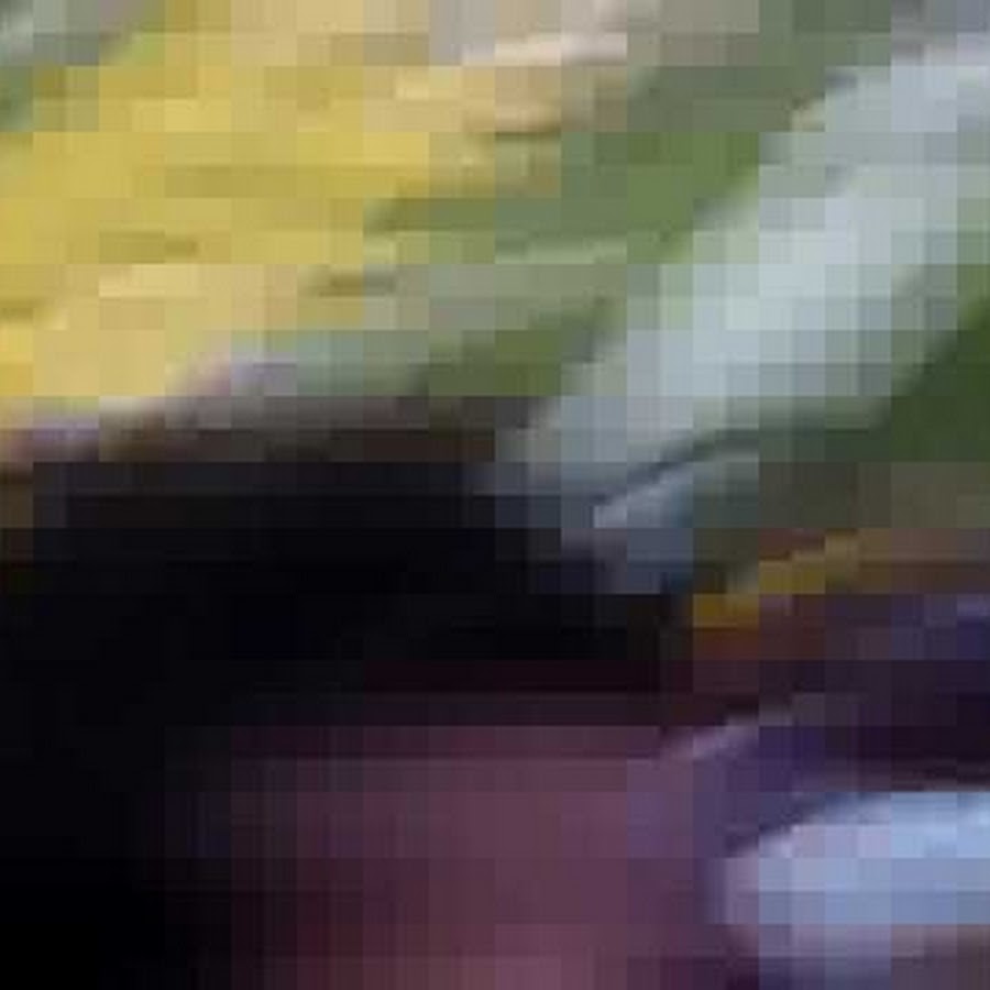ecupirate2012