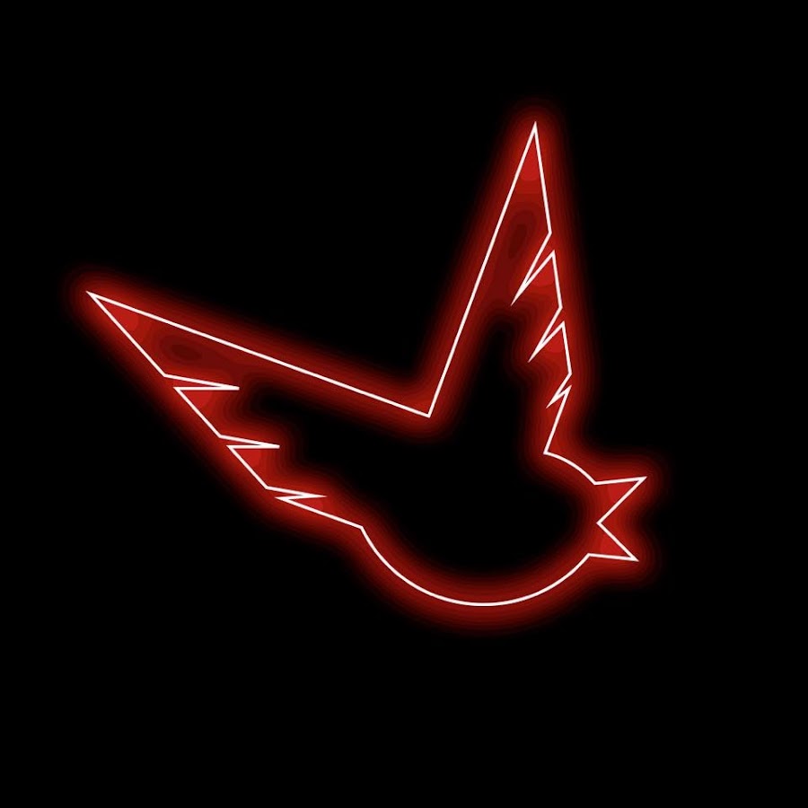 Birdy Nam Nam