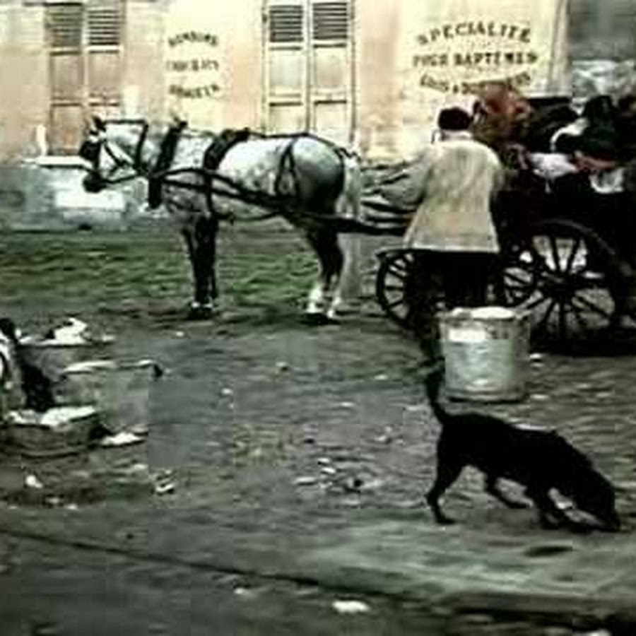 samuca1983