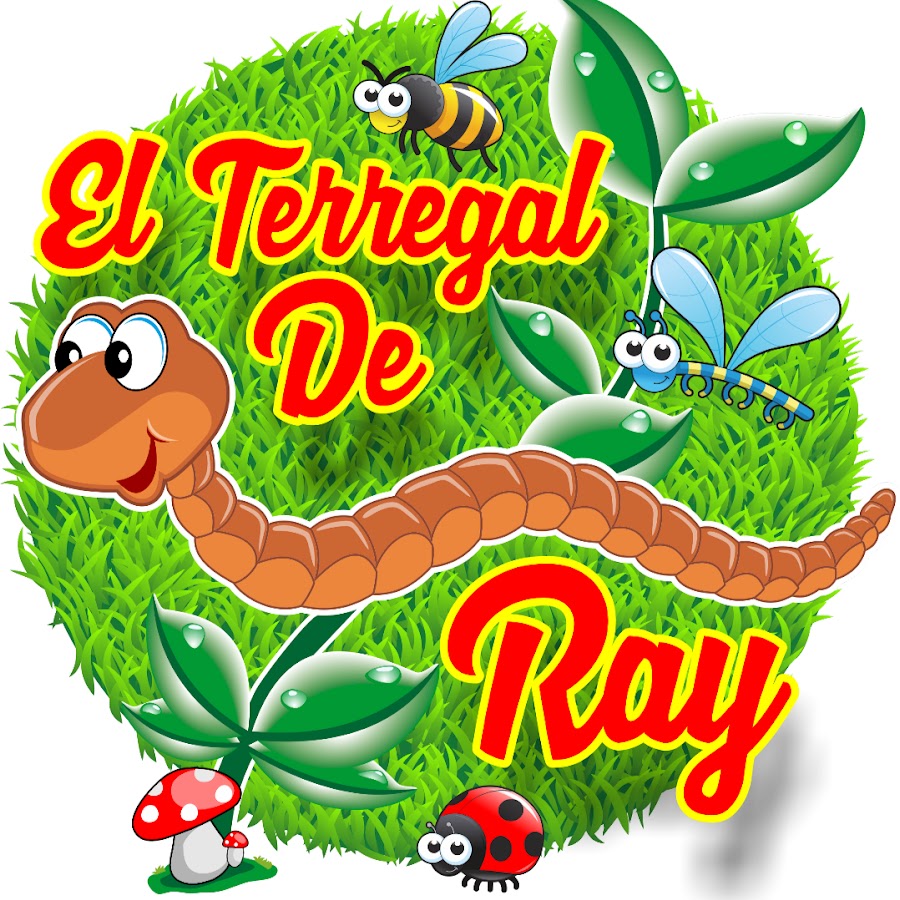 EL TERREGAL DE RAY