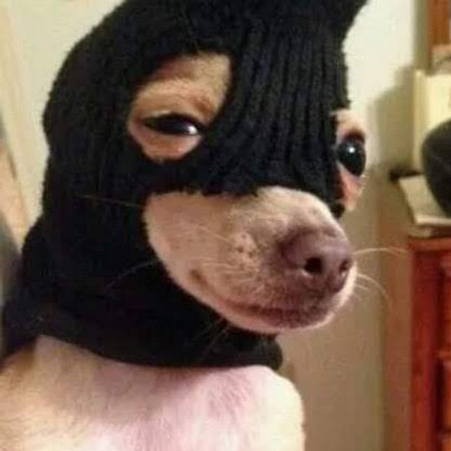 Diaboli