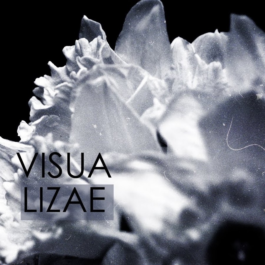 visualizae