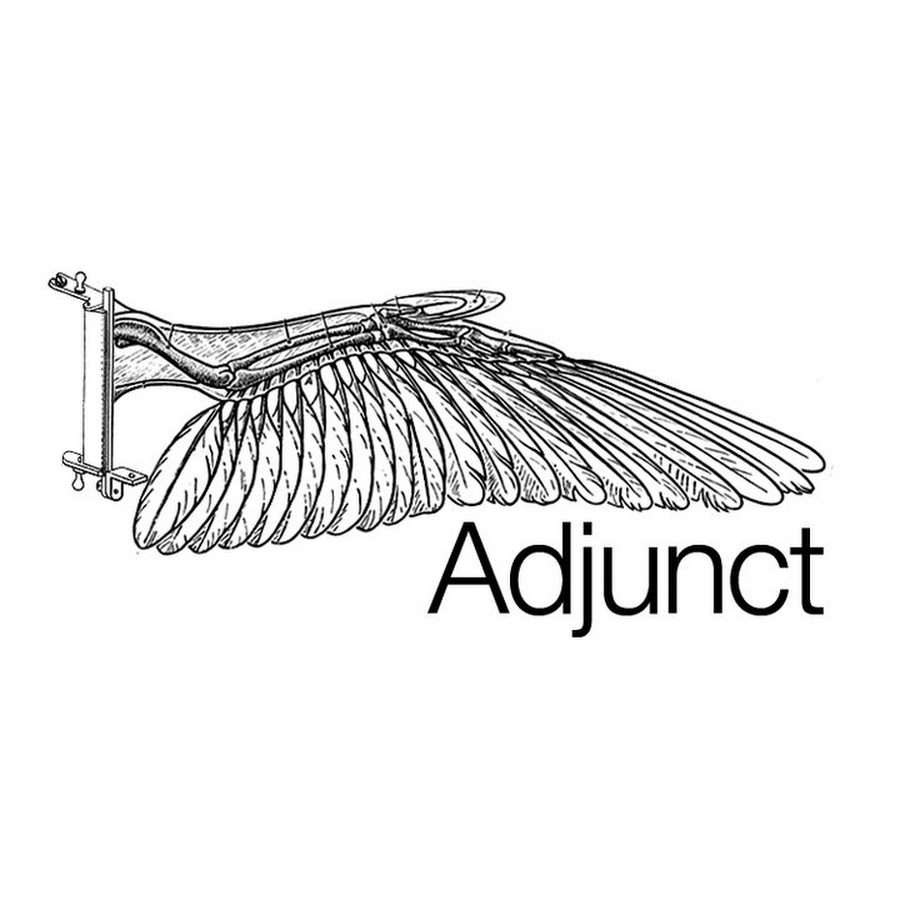 Adjunct A udio