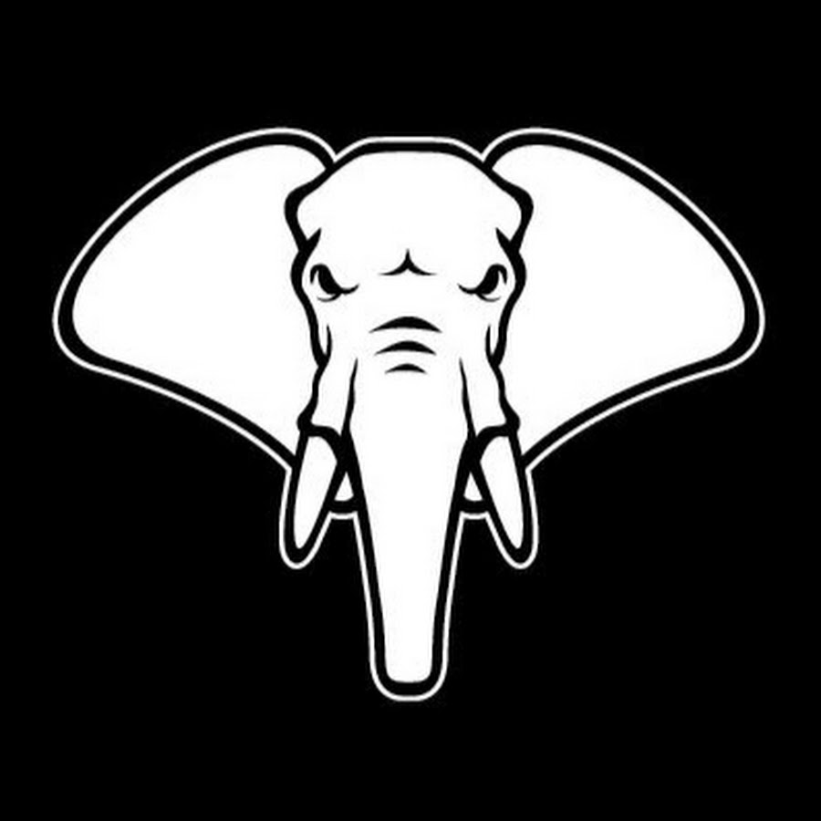 Young Elephants