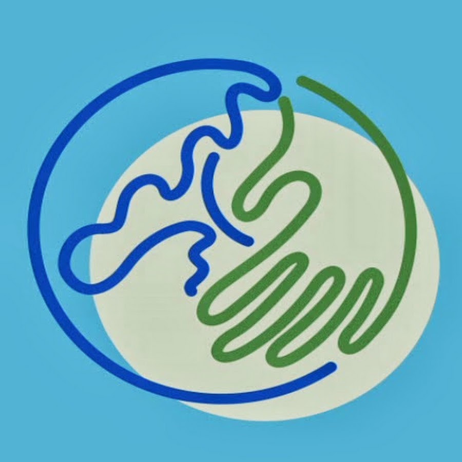 Proplaneta Participatory Video